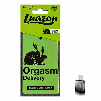 Ароматизатор в авто мужской парфюм «Orgasm» Luazon 4901330